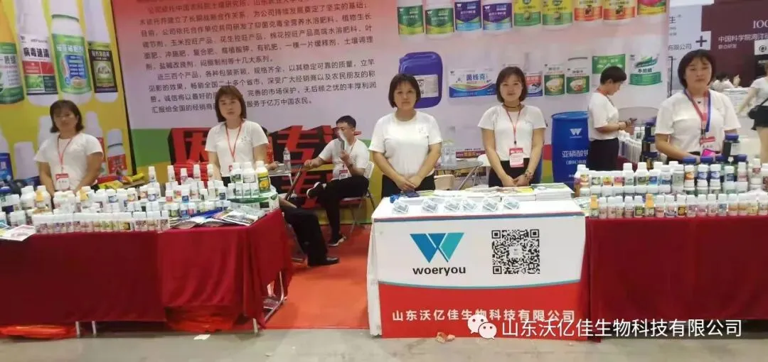 励志篇——做好销售,要有疯子的精神、傻子的楞劲、做孙子的觉悟!!