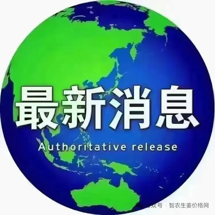 2026年3月30号昌邑生姜市场较昨天圆头姜上货总量基本持平,下货正常,对比昨日价格主流以上货稳,次货疲!