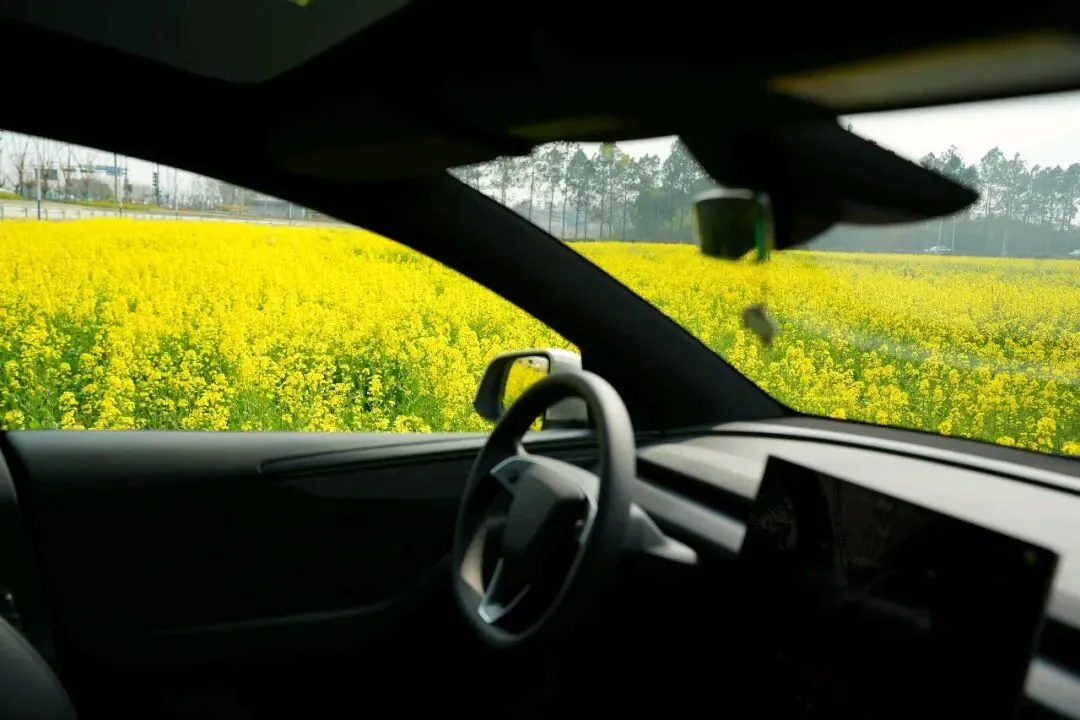 2025年特斯拉全球主要国家市场占有率报告