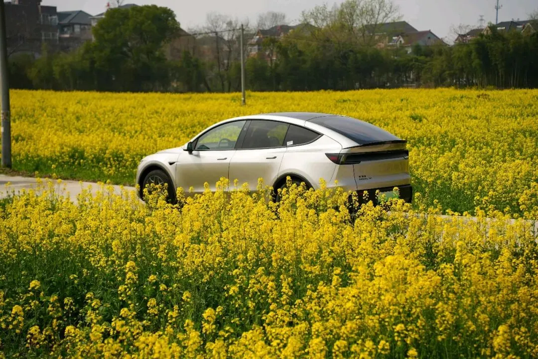 2025年特斯拉全球主要国家市场占有率报告