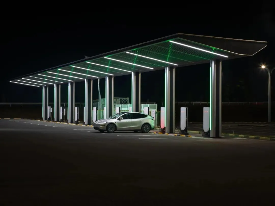 2025年特斯拉全球主要国家市场占有率报告