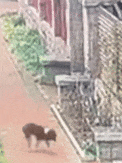 价格断崖式下跌,市场认为大户开始抛售;央视曝光:手机发烫或正被窃密【3月30日周一 新闻速览一分钟】