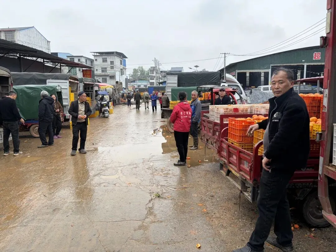 桂北水果交易市场|沃柑百家货:一口自然甜,百家匠心造
