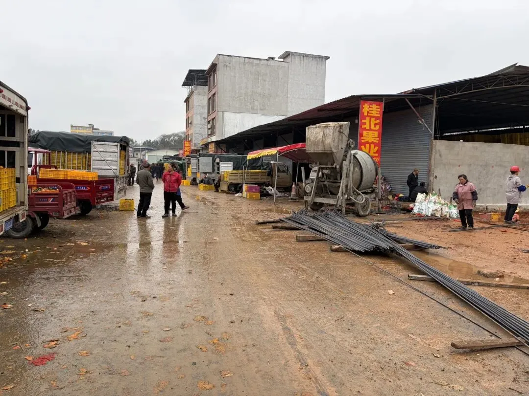 桂北水果交易市场|沃柑百家货:一口自然甜,百家匠心造