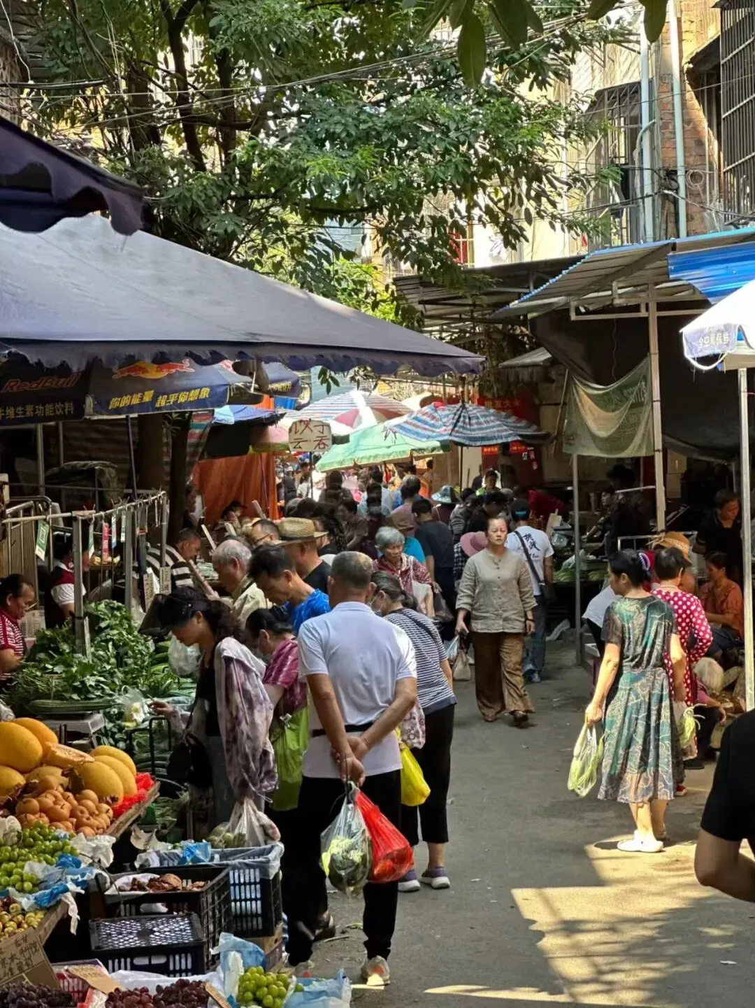 别再乱买菜了!南宁这3个老牌市场,便宜又新鲜,知道的人不多!