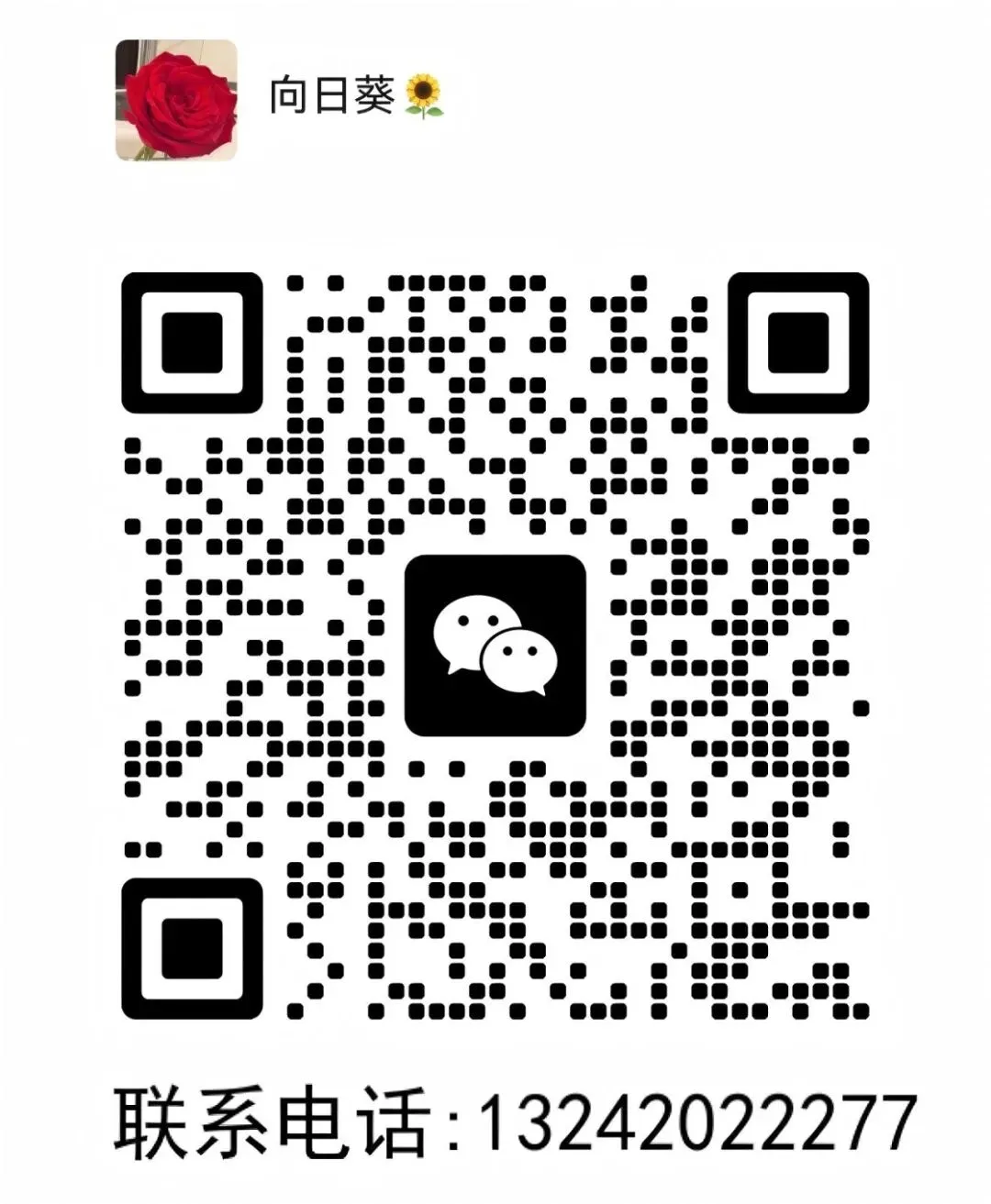 【广东信立市场乐乐蛋业报价】2026年3月30日报价