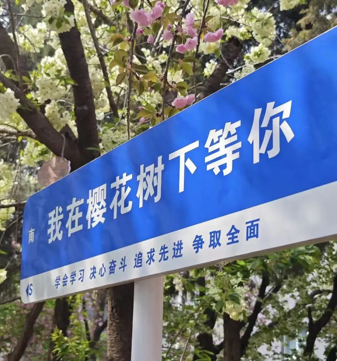 樱为有你,鲜启新程|每日鲜语x耿丹市场营销专业樱花季招募令开始啦!