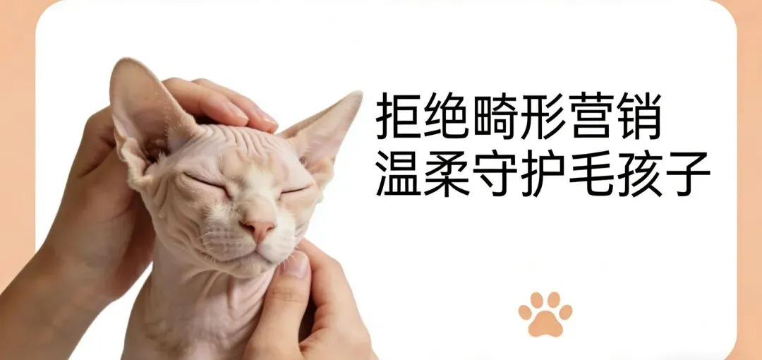 宠物纹身博眼球?畸形营销别寒了铲屎官的心