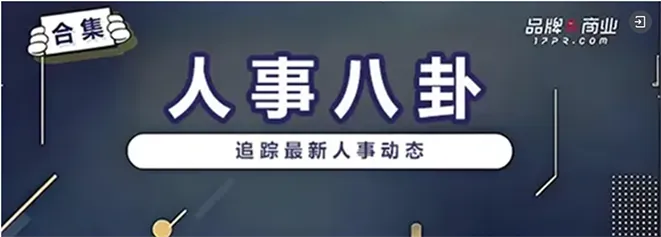 案例拆解|罗技“狗式营销”翻车记