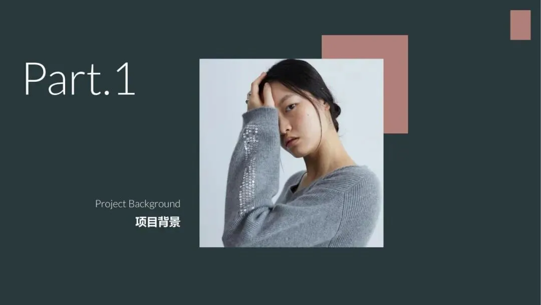 EP雅莹女装服饰小红书内容营销年度方案