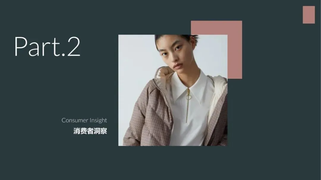 EP雅莹女装服饰小红书内容营销年度方案