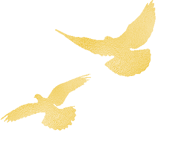 喜报!| 宝投市场公司赴英德签约授牌双丰收 携手共启融湾新程