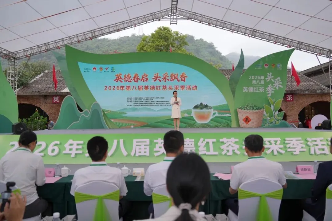 喜报!| 宝投市场公司赴英德签约授牌双丰收 携手共启融湾新程