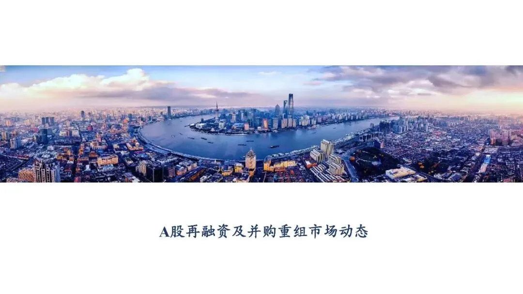 2025年A股再融资及并购重组市场动态 23P