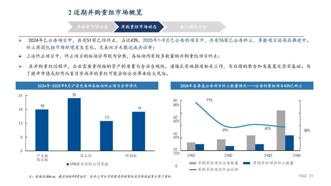 2025年A股再融资及并购重组市场动态 23P