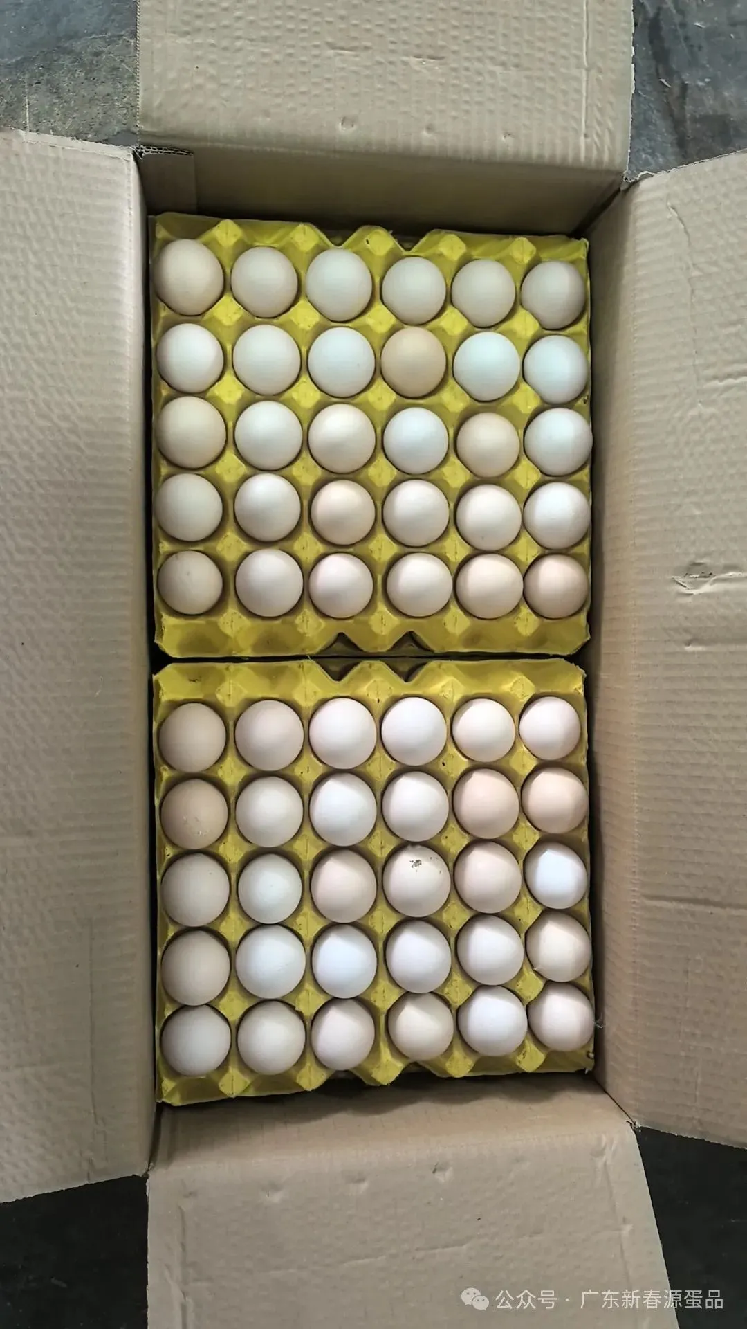 2026年3月30日 东莞信立市场鸡蛋行情