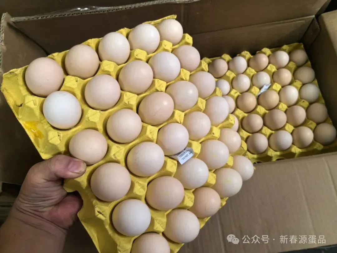 2026年3月30日 东莞信立市场鸡蛋行情