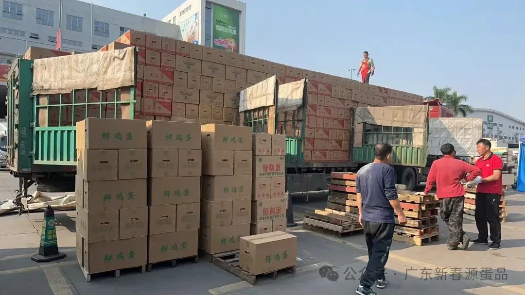 2026年3月30日 东莞信立市场鸡蛋行情