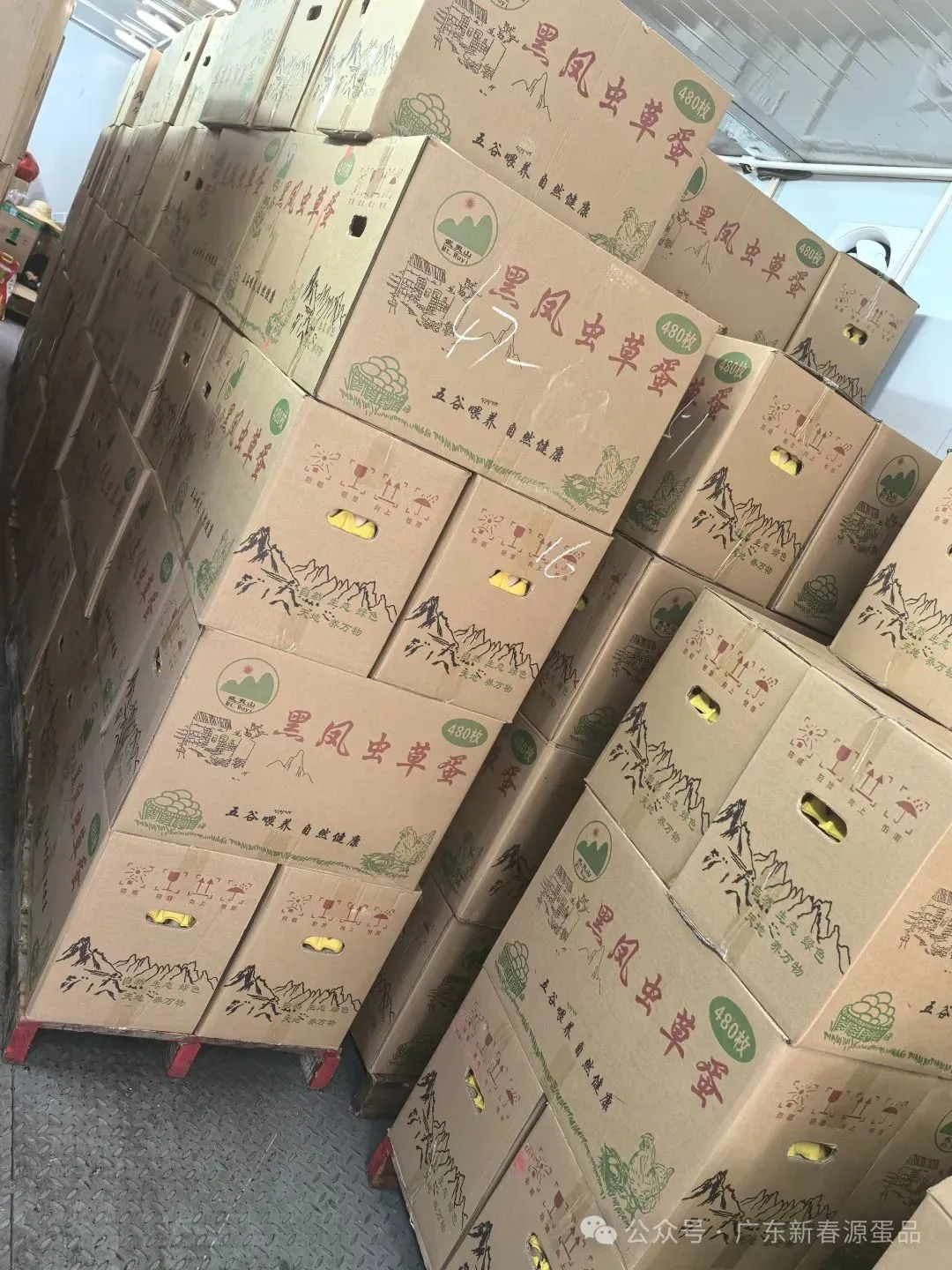 2026年3月30日 东莞信立市场鸡蛋行情