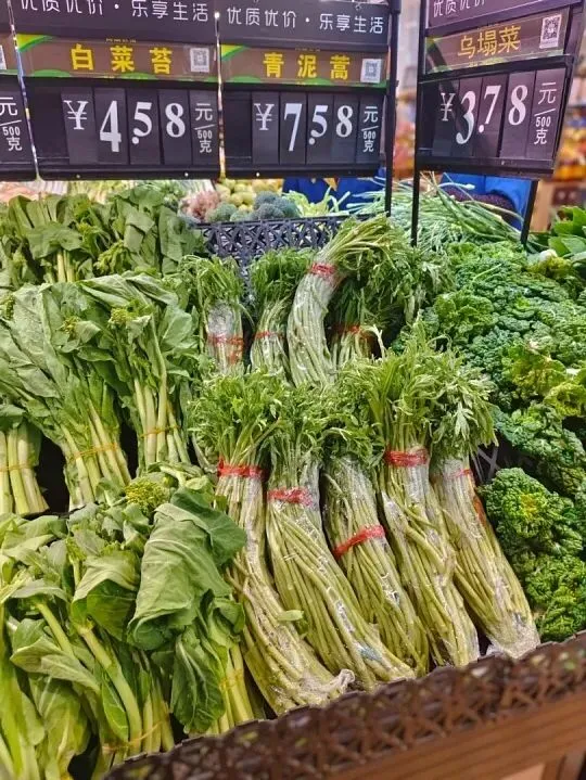 【营销指南】超市4月蔬菜操作全攻略!6大品类选品陈列定价技巧,让春季鲜蔬销售翻倍,店长员工必藏实战手册