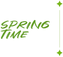 26年第一季度团建 丨 营销中心