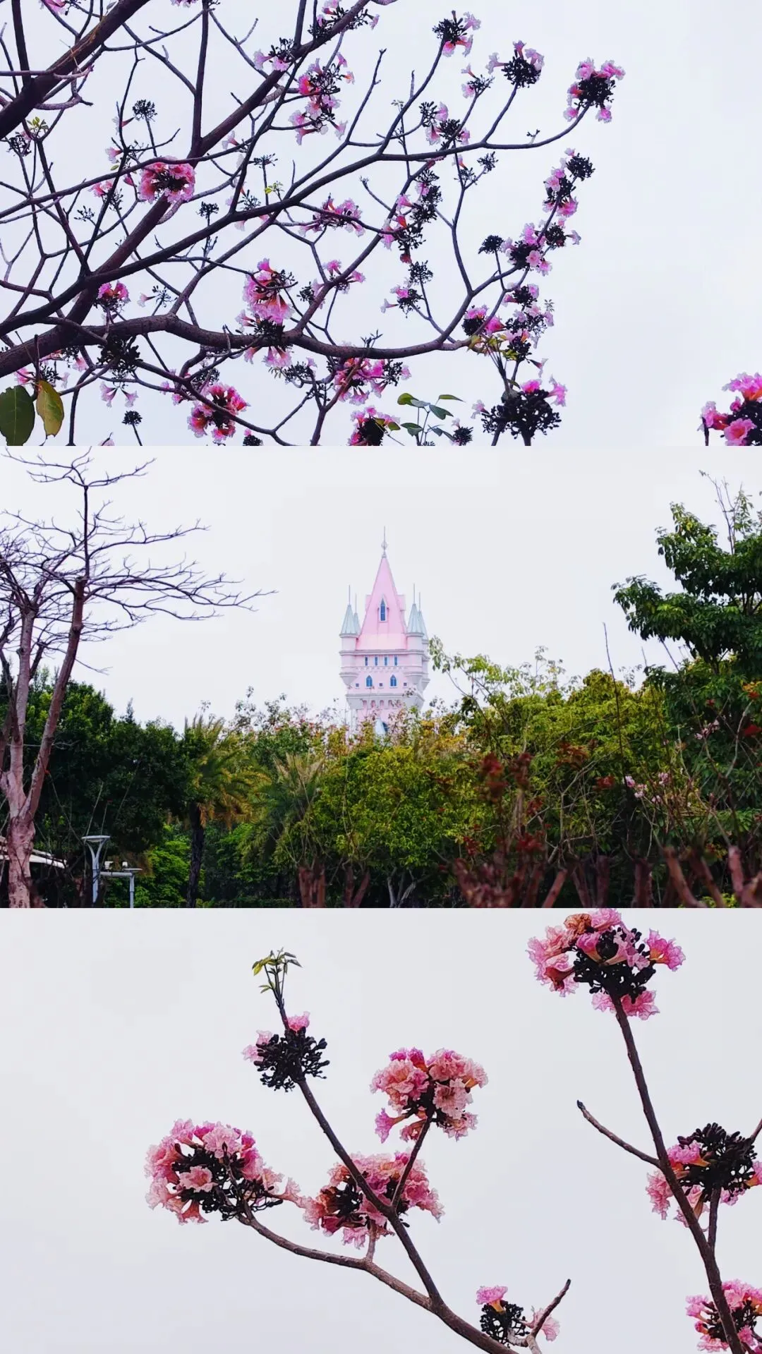 26年第一季度团建 丨 营销中心