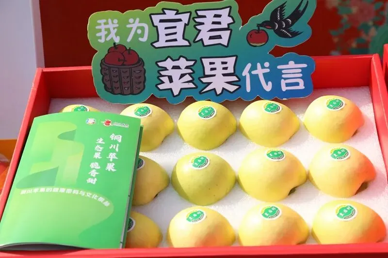 陕果入皖开拓华东市场 2026陕西果品(合肥)宣传推介活动签下4260万元订单