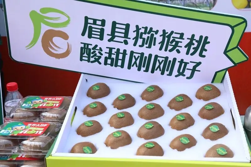 陕果入皖开拓华东市场 2026陕西果品(合肥)宣传推介活动签下4260万元订单