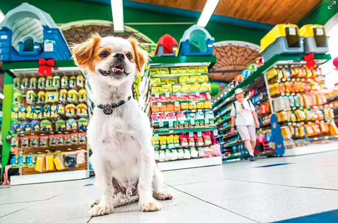 巴西宠物市场六年来首次出现实际下滑