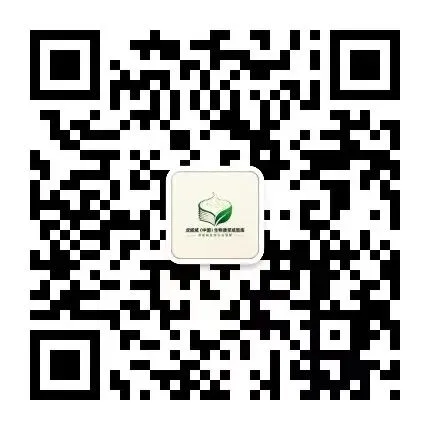 白卡纸市场的“倒春寒”,在产能过剩与需求疲软的博弈中探寻产业价值的底线