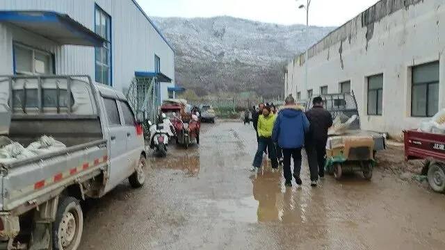 2026年3月30日岷县中药材市场快讯(黄芪种苗上货量陆续增加)