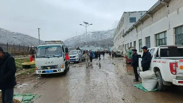 2026年3月30日岷县中药材市场快讯(黄芪种苗上货量陆续增加)