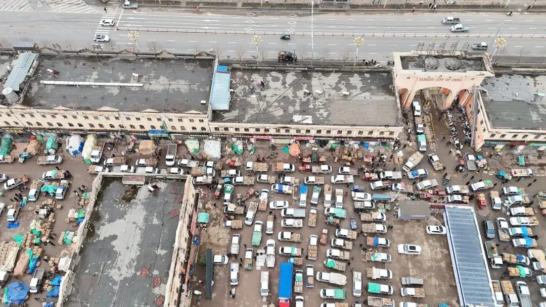 2026年3月30日岷县中药材市场快讯(黄芪种苗上货量陆续增加)