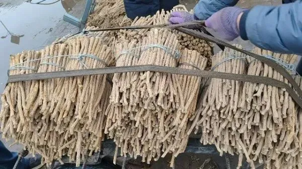 2026年3月30日岷县中药材市场快讯(黄芪种苗上货量陆续增加)