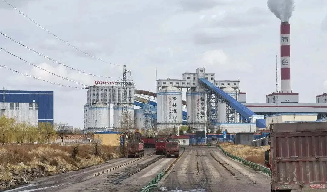 聚焦市场动态 赋能战略决策—煤质运销分部科学开展市场调研