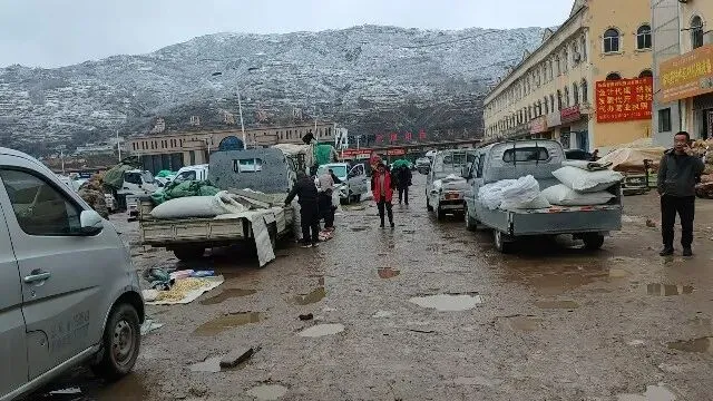 2026年3月30日岷县中药材市场快讯(黄芪种苗上货量陆续增加)