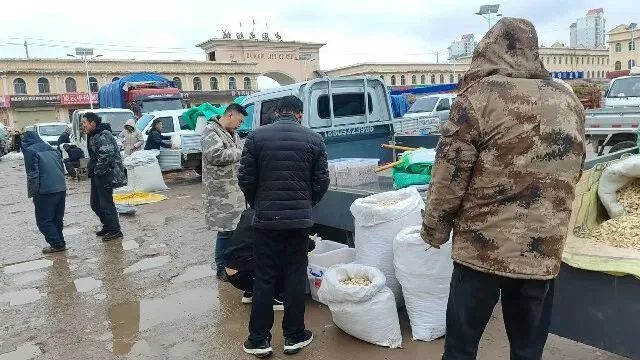 2026年3月30日岷县中药材市场快讯(黄芪种苗上货量陆续增加)