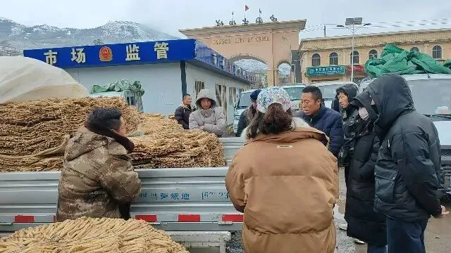 2026年3月30日岷县中药材市场快讯(黄芪种苗上货量陆续增加)