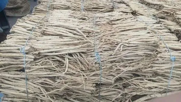 2026年3月30日岷县中药材市场快讯(黄芪种苗上货量陆续增加)