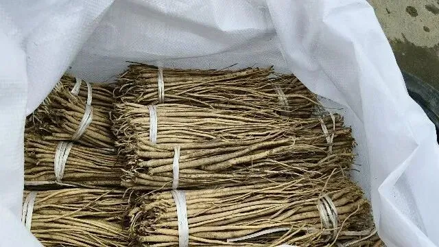 2026年3月30日岷县中药材市场快讯(黄芪种苗上货量陆续增加)