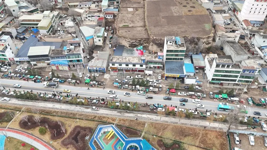 2026年3月30日岷县中药材市场快讯(黄芪种苗上货量陆续增加)