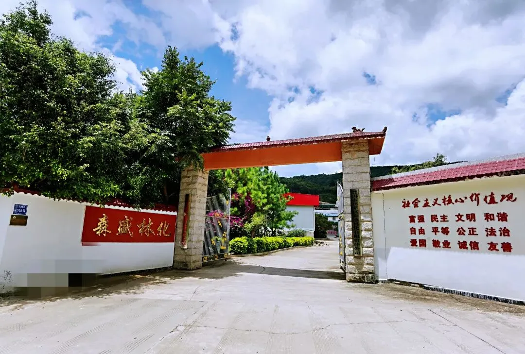 理性看待思茅松松脂市场变化,防范风险为上