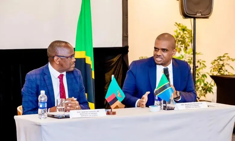 鲁托请使节们在海外宣传肯尼亚;东非共同市场吸引的外国直接投资占非洲总量的 67%;