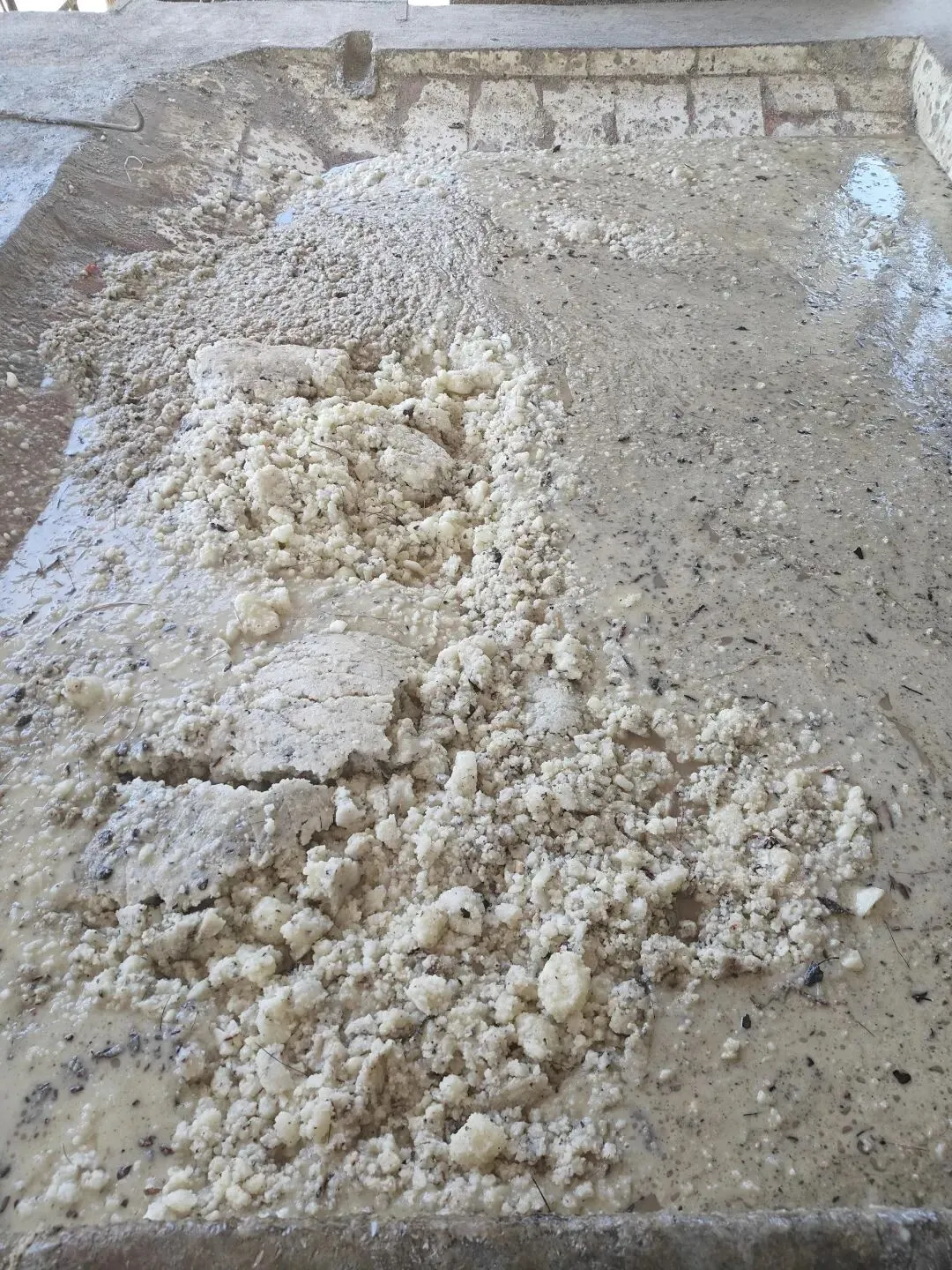 理性看待思茅松松脂市场变化,防范风险为上