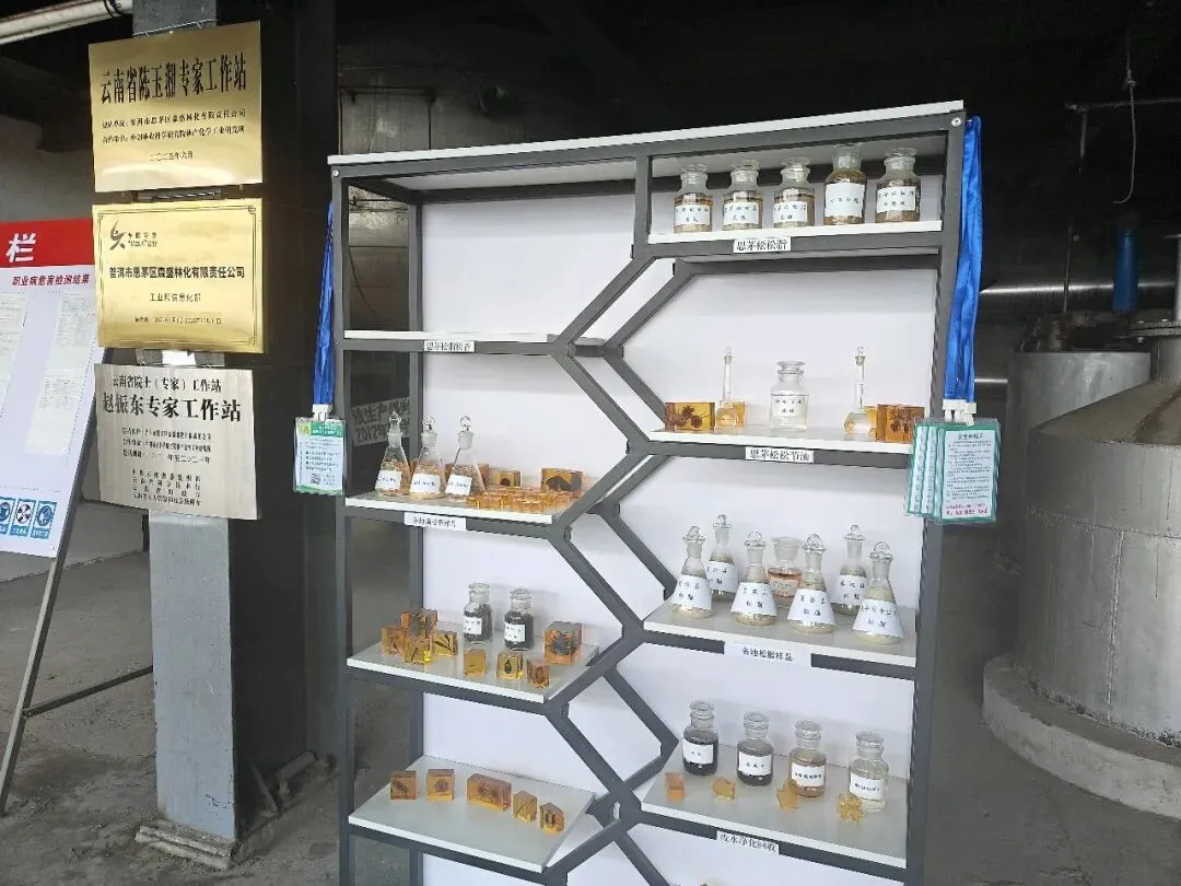 理性看待思茅松松脂市场变化,防范风险为上