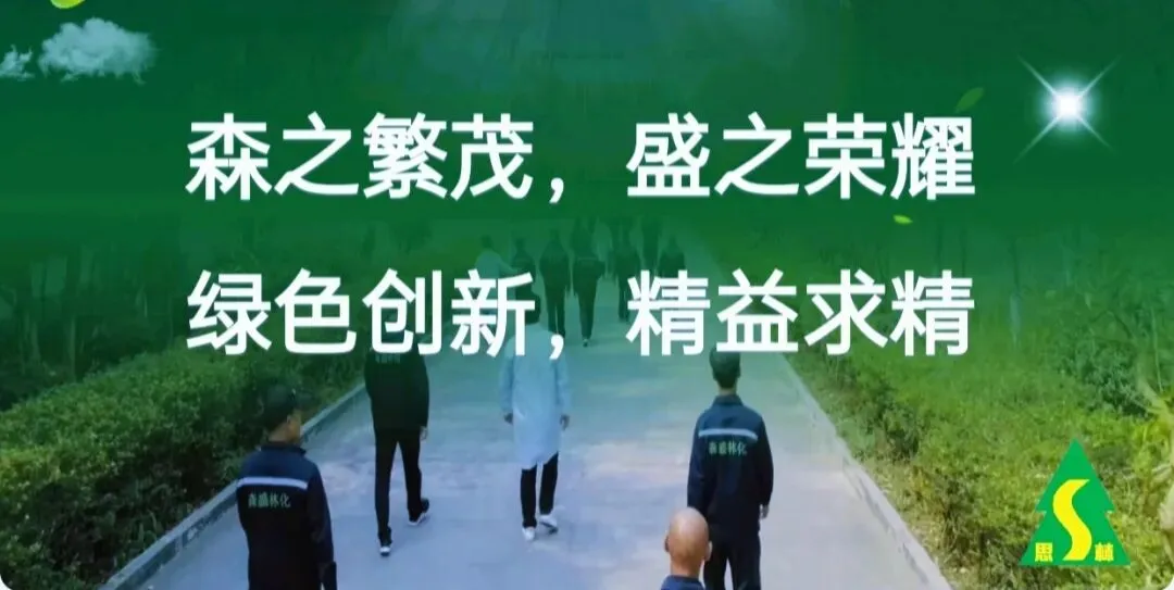 理性看待思茅松松脂市场变化,防范风险为上