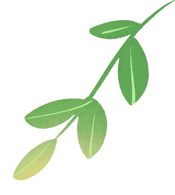 《互联网营销师》高级重点考试学习:网络营销策略、社交媒体、直播、大数据、短视频拍摄剪辑技巧、30个互联网方法简析