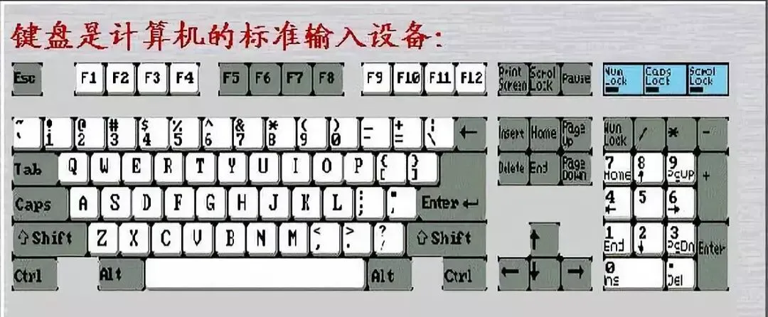 计算机硬件~输入和输出设备