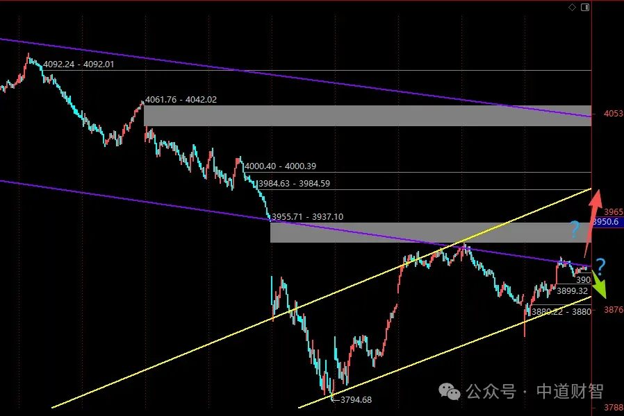 多么有意思的市场
