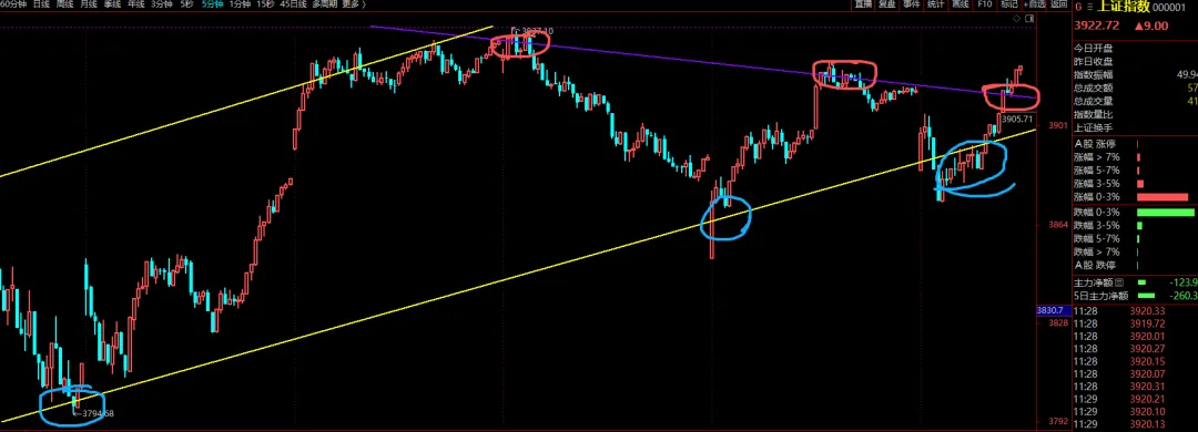 多么有意思的市场